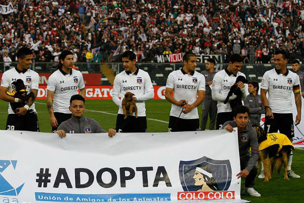 Este equipo ingresó al terreno de juego con mascotas que buscan un hogar