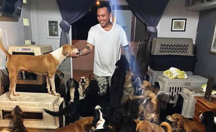 Entró a su casa a más de 300 perros y otros animales para protegerlos de un huracán