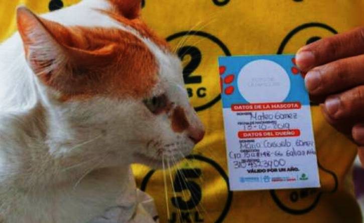 Polémica generó el Sisben para perros y gatos que estableció una ciudad colombiana