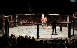 5 cosas que tal vez no sabías de la UFC