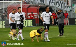 Este equipo ingresó al terreno de juego con mascotas que buscan un hogar