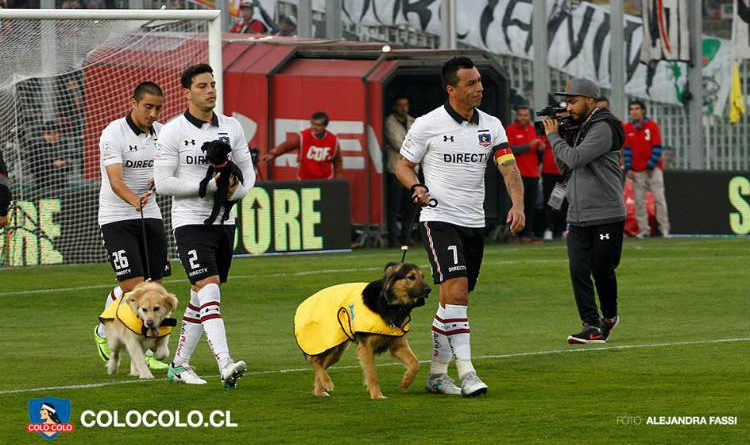 Este equipo ingresó al terreno de juego con mascotas que buscan un hogar