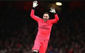 El portero colombiano ha sido pieza fundamental del Arsenal en este certamen, fruto de esto es su pase a las semifinales.