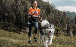 El 'mushing' en Colombia: la pasión de hacer deporte con perros