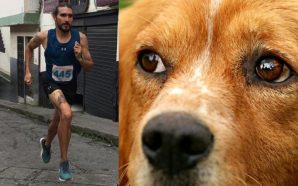 Por patear a un perro en competencia, atleta perdió patrocinio