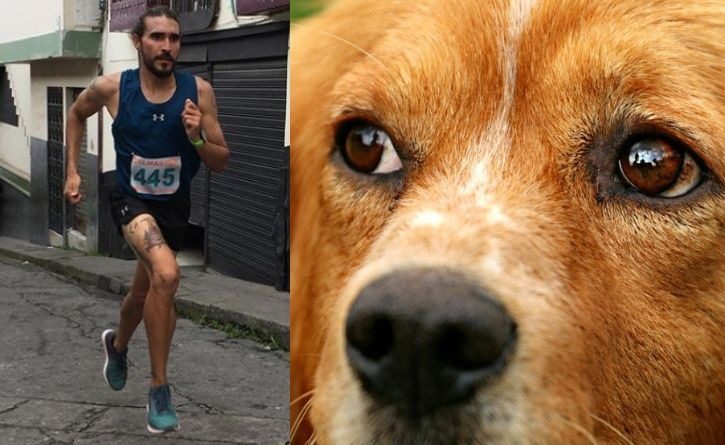 Por patear a un perro en competencia, atleta perdió patrocinio