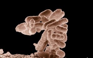 Fuga de una bacteria en China ha dejado más de 6 mil contagiados enfermos