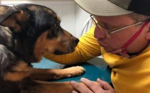 Hombre con discapacidad adoptó a perro rechazado por esa misma condición
