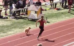 Un perro humilló a unas atletas con su velocidad y les ganó una carrera