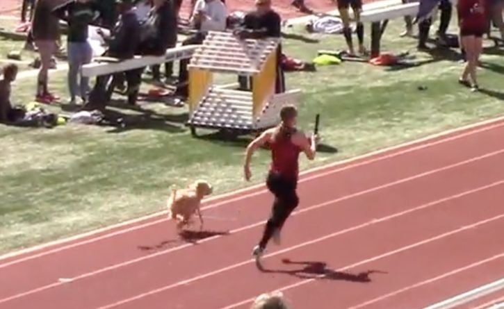 Un perro humilló a unas atletas con su velocidad y les ganó una carrera